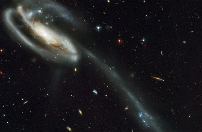 „Mosh Pits“ in Sternhaufen sind wahrscheinliche Quelle der ersten Schwarzen Löcher von LIGO